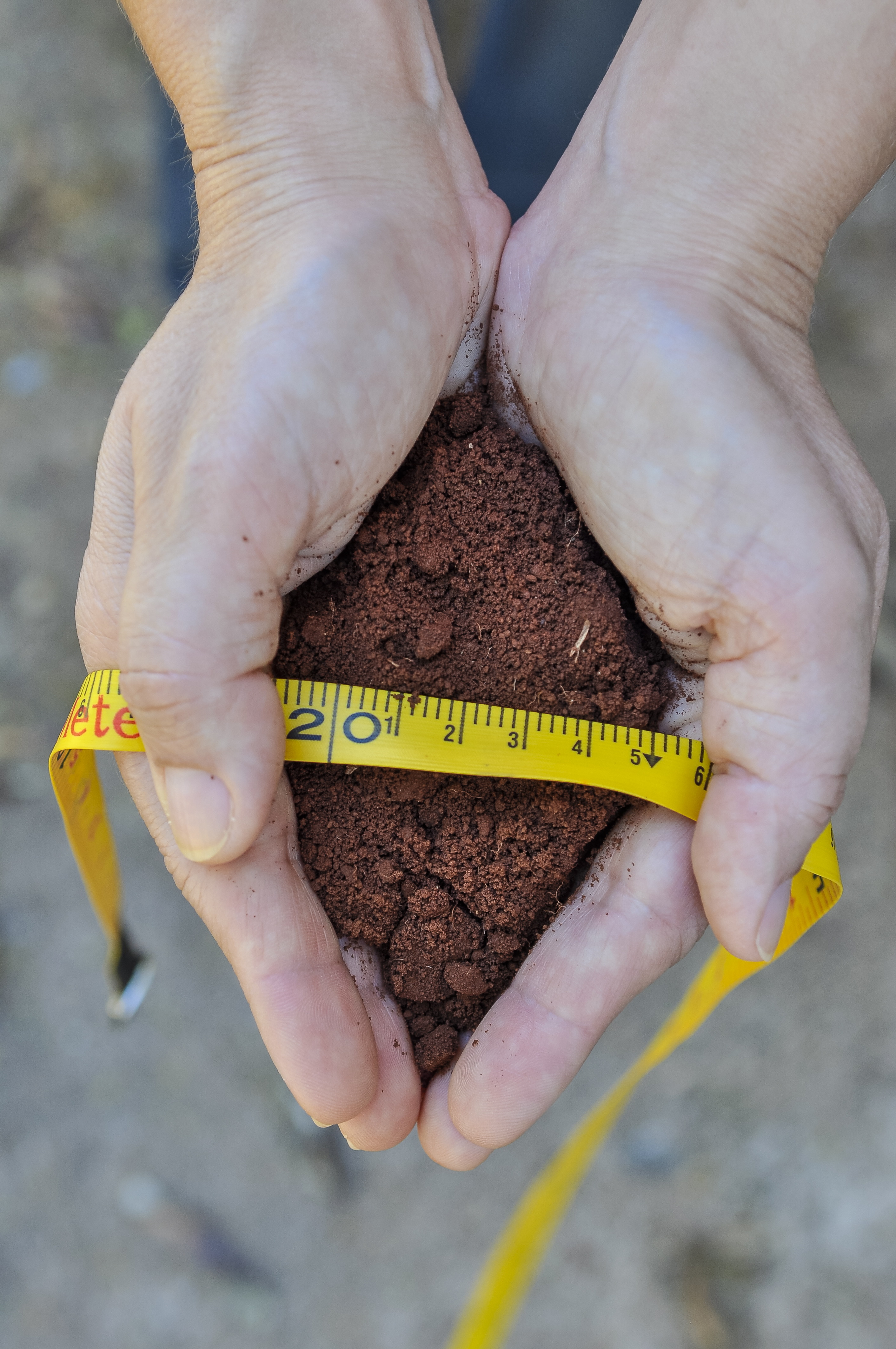 mãos segurando punhado de terra e uma fita métrica
