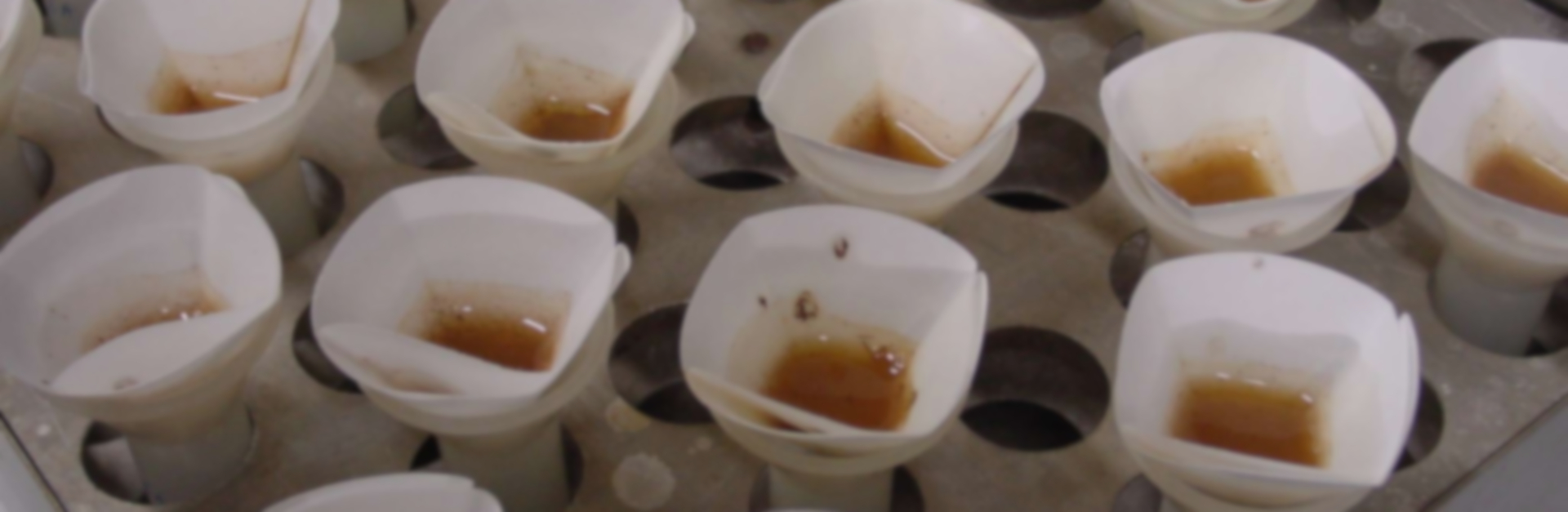 Imagem com diversas amostras de solo sendo filtradas