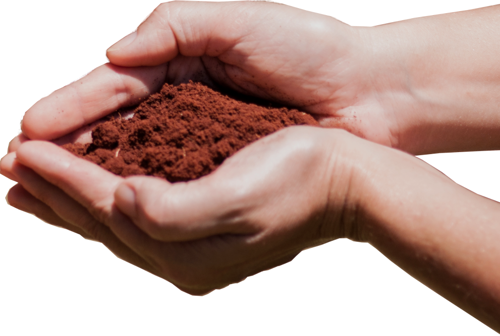 mãos segurando um punhado de solo