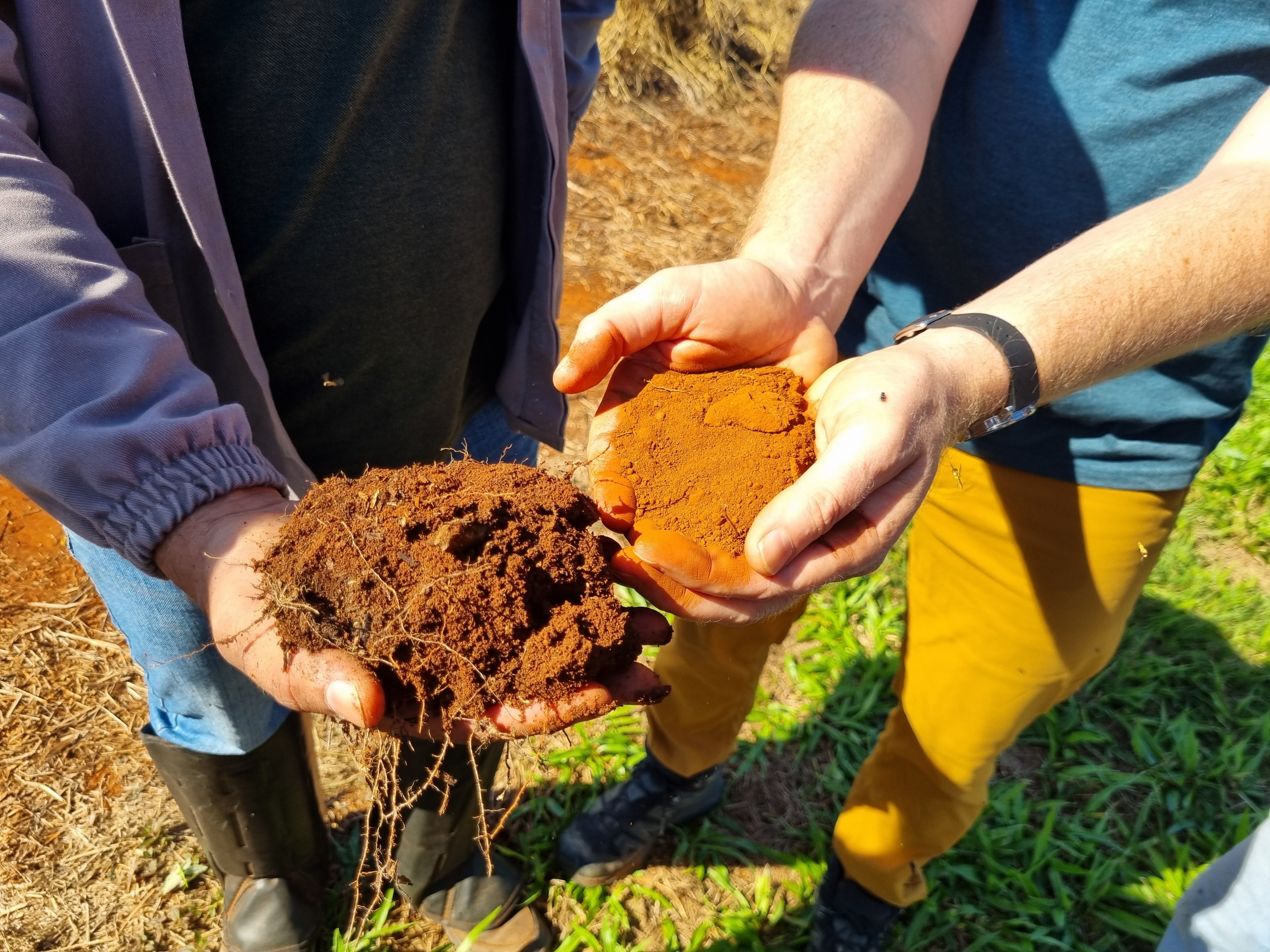 duas pessoas mostrando cada uma um punhado de diferentes tipos de solo